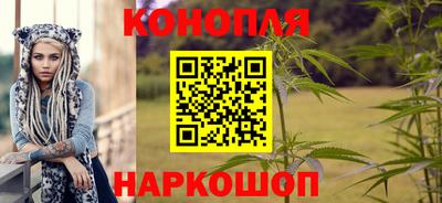 apvp Ярославль