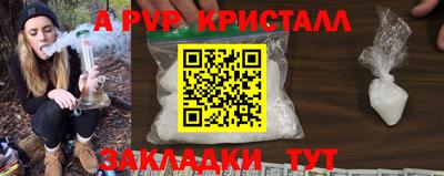 apvp Ярославль